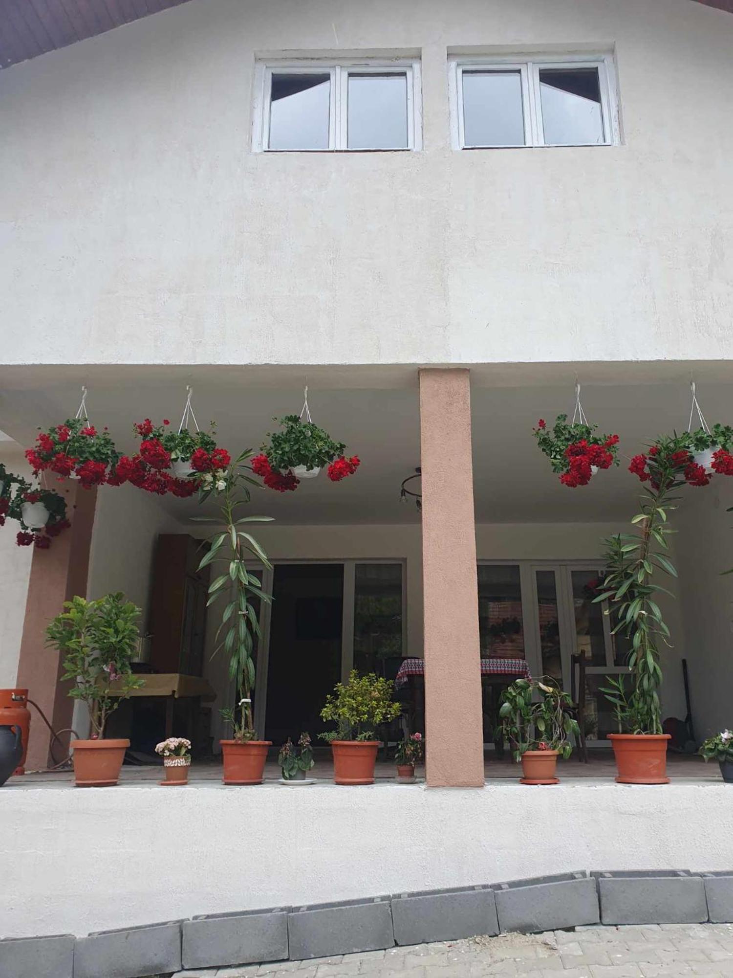 Casa Maksai Hotel Sovata Ngoại thất bức ảnh