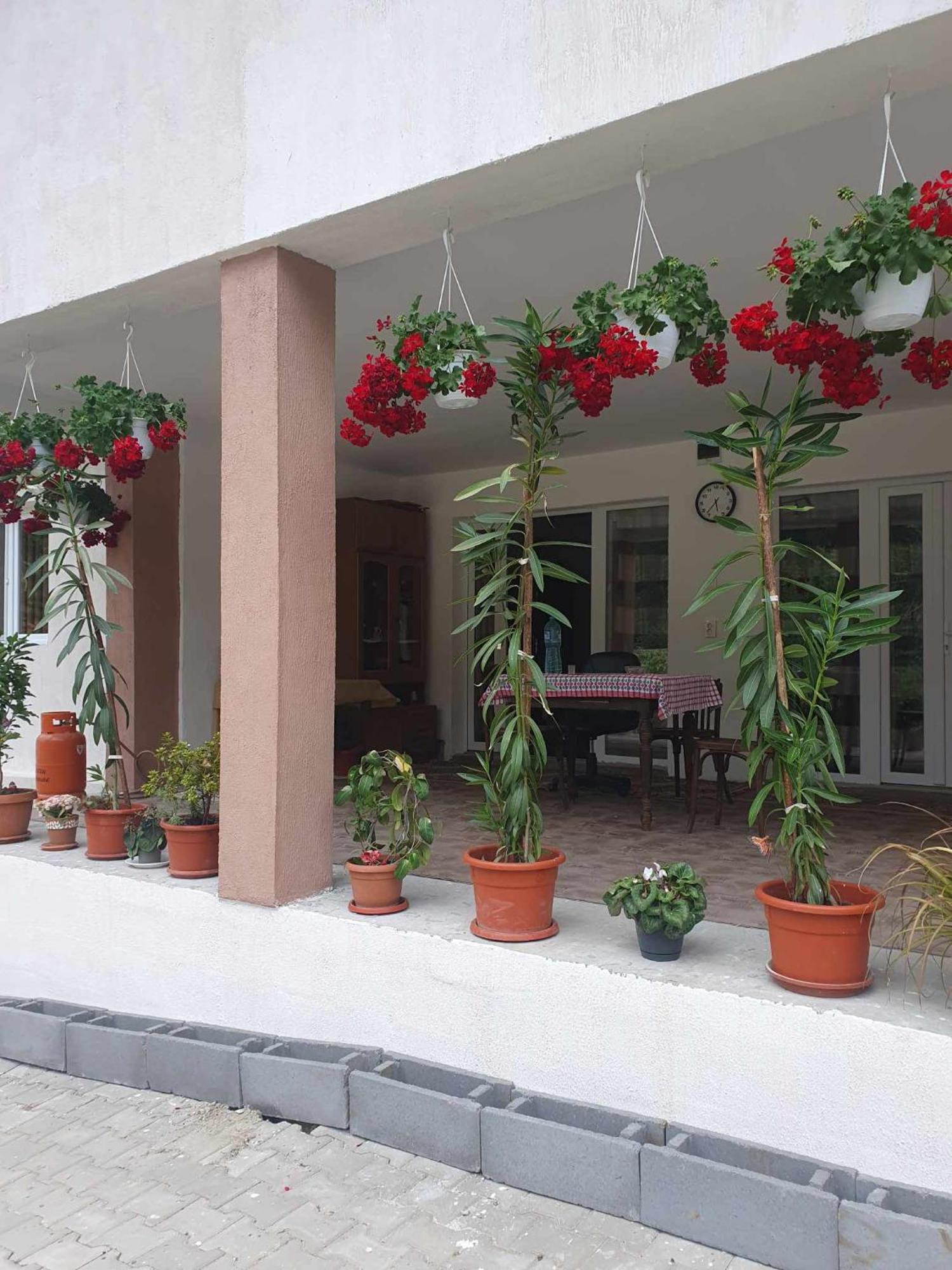 Casa Maksai Hotel Sovata Ngoại thất bức ảnh