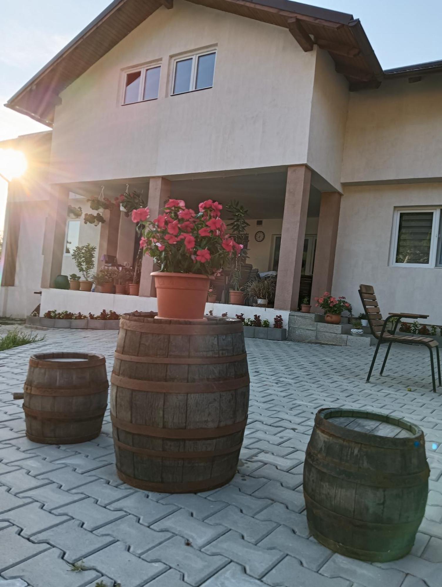 Casa Maksai Hotel Sovata Ngoại thất bức ảnh